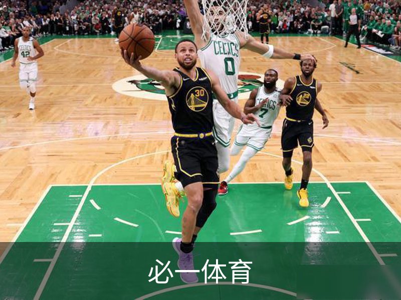 必一体育简介